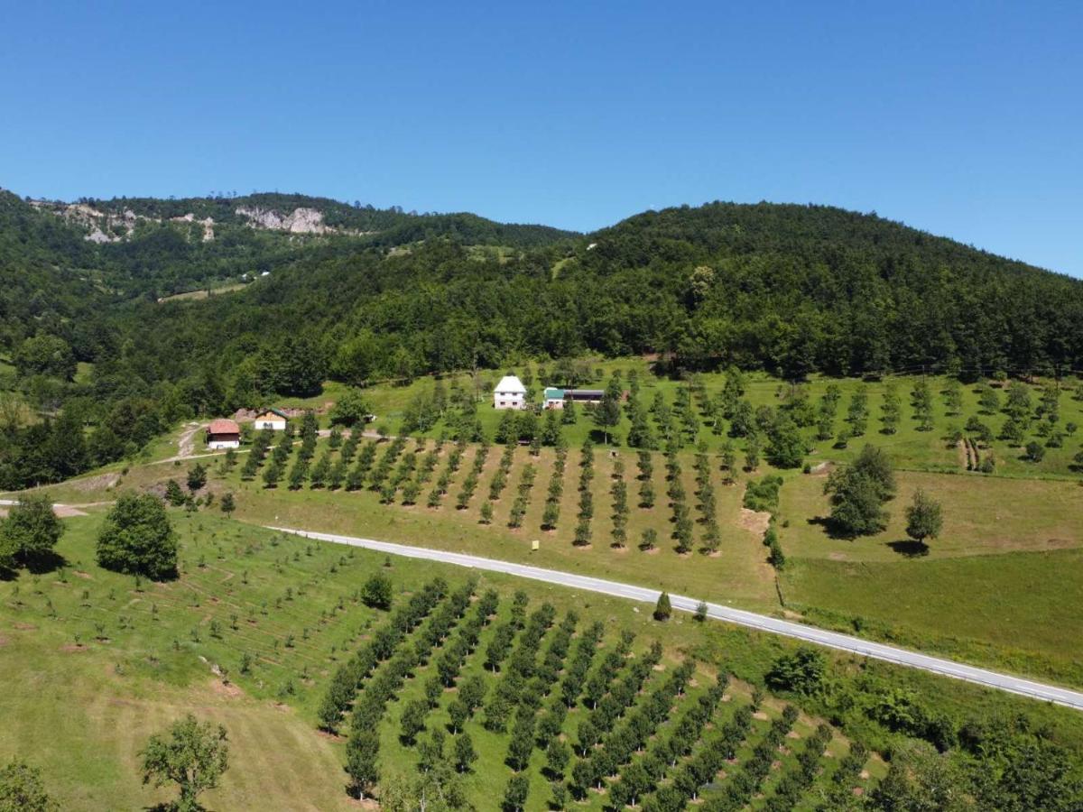 Pensjonat Kljajevica Orchard Pljevlja Zewnętrze zdjęcie