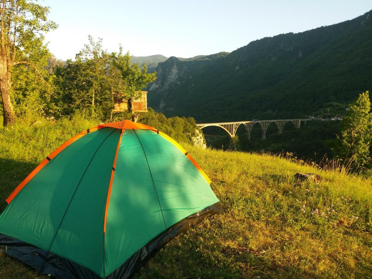Pensjonat Kljajevica Orchard Pljevlja Zewnętrze zdjęcie