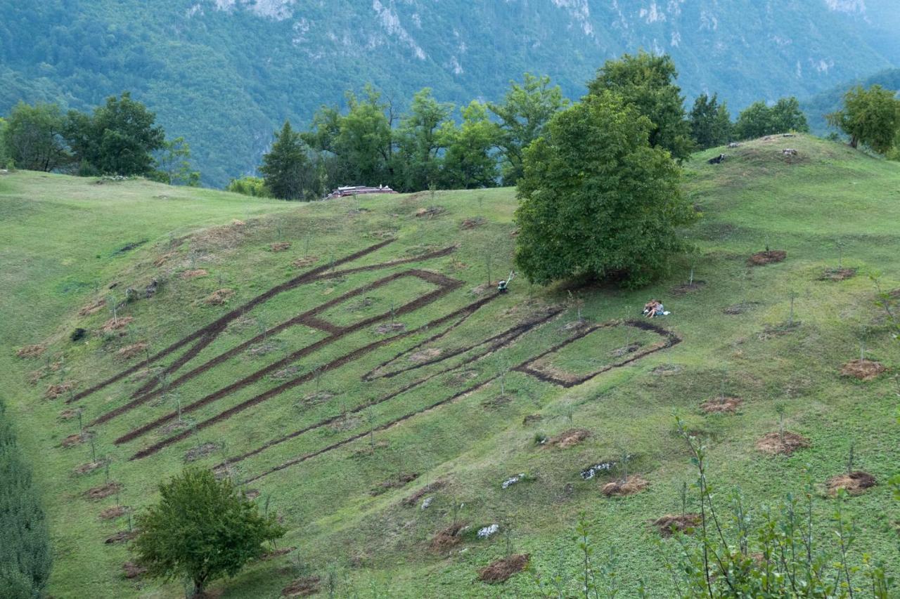 Pensjonat Kljajevica Orchard Pljevlja Zewnętrze zdjęcie